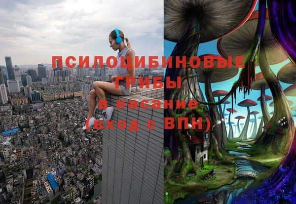 2c-b Алзамай