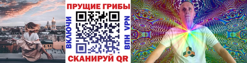 Псилоцибиновые грибы Psilocybine cubensis  Пикалёво 
