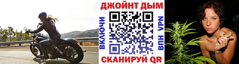 Канабис план  закладка  Пикалёво 